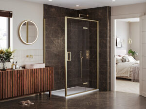 Arysto Sleek Hinge And Inline Door With Side Panel