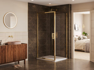 Arysto Sleek Infold Door With Side Panel