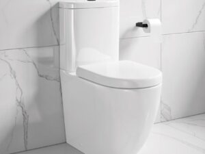 Edison Fully Enclosed Semi Ch Pan,cistern & D Shape Seat