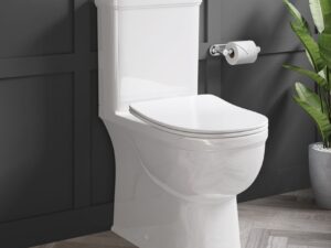 Farnham Fully Enclosed Ch Pan, Cistern & D Shape Seat