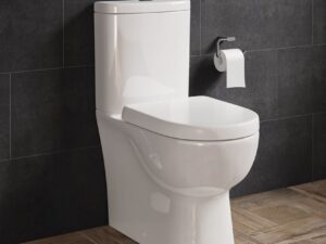 Finley Fully Enclosed Semi Ch Pan, Cistern & D Shape Seat