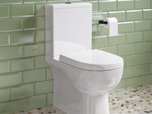 Foye Fully Enclosed Pan, Cistern & D Shape Seat