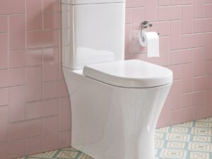 Preston Fully Enclosed Ch Pan, Cistern & D Shape Seat