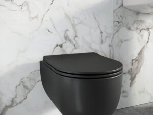 Riviera Round Wall Hung WC
