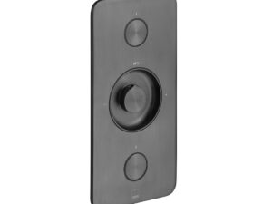 Zone Concealed Shower Valve