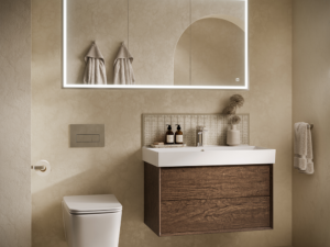 Vanquish Mirror Cabinet