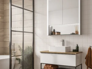 Verve Mirror Cabinet